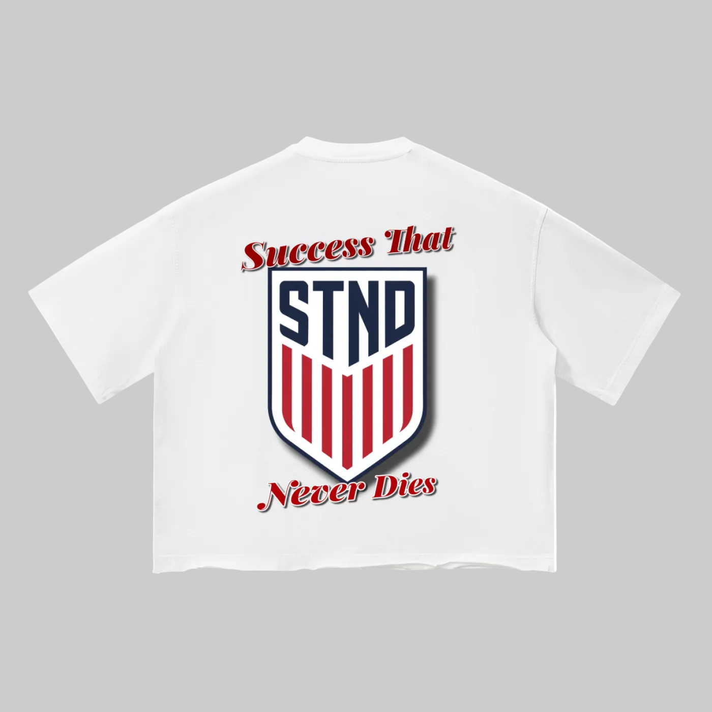 STND USA Vintage Wash T-Shirt