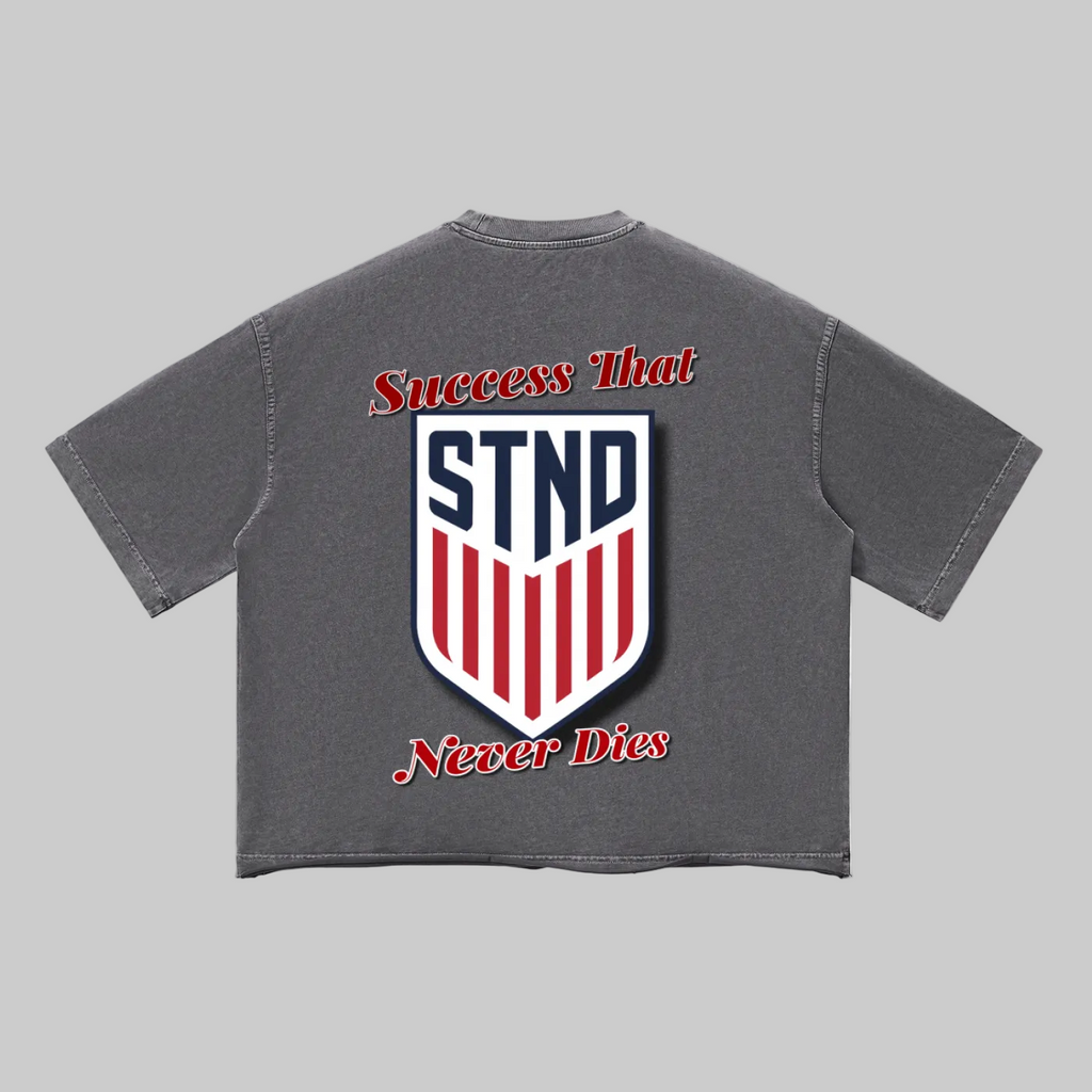STND USA Vintage Wash T-Shirt