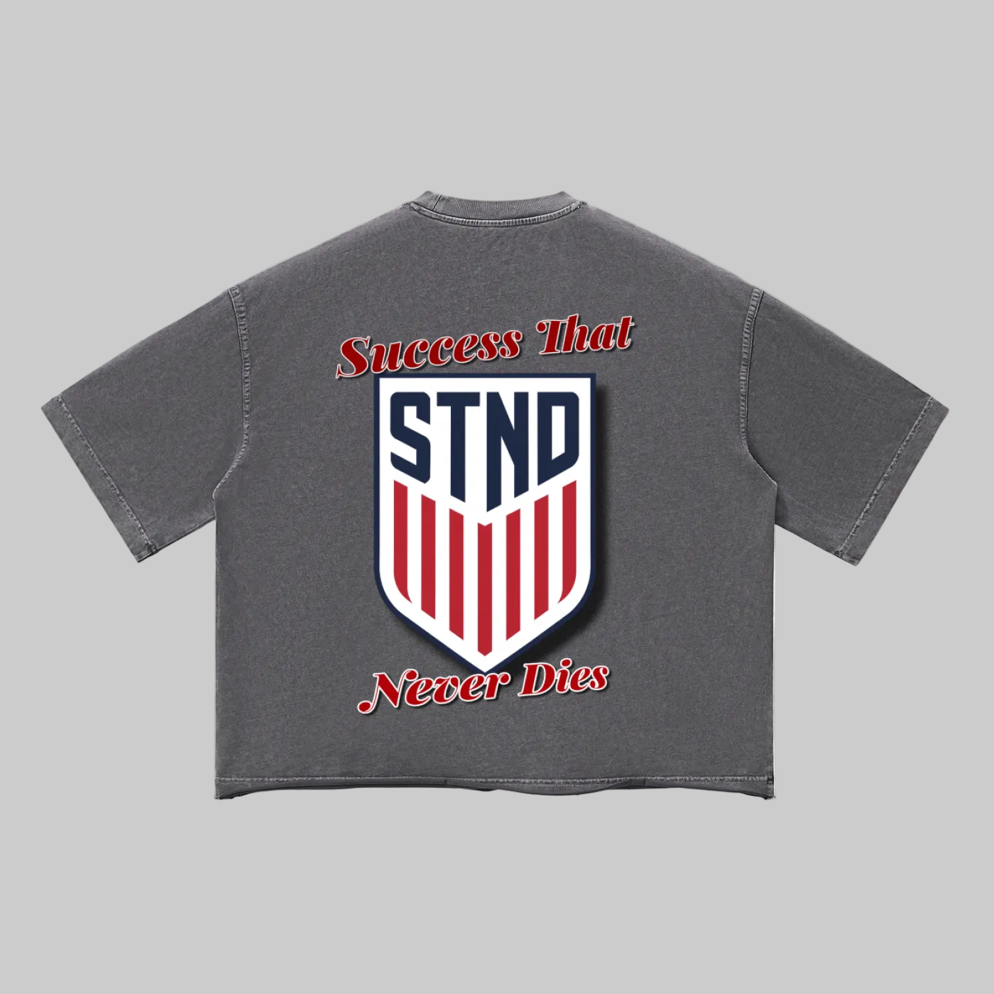 STND USA Vintage Wash T-Shirt